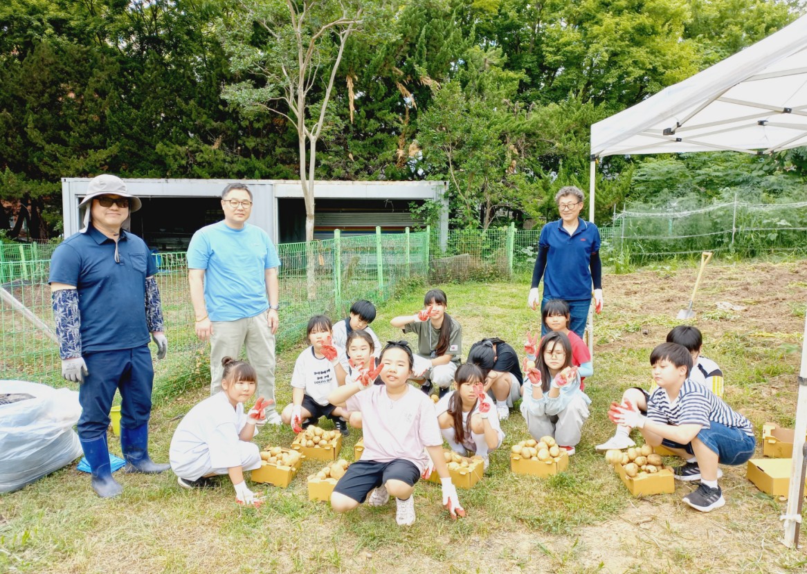 2026년 꼬마농부 감자 수확 체험 운영 계획 대표이미지